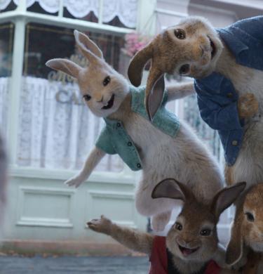 Peter Rabbit Tour