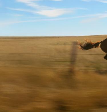 Girl riding horse from the film
